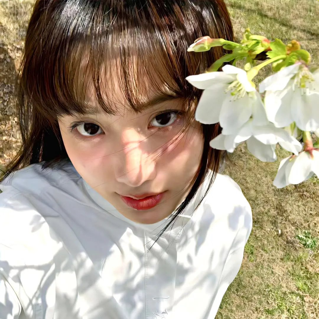 危鸡总动员